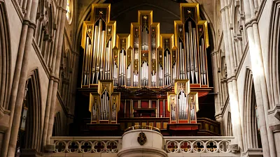 Orgel (Foto: Sole d Alessandro - Unsplash) Orgel (Foto: Sole d Alessandro - Unsplash)