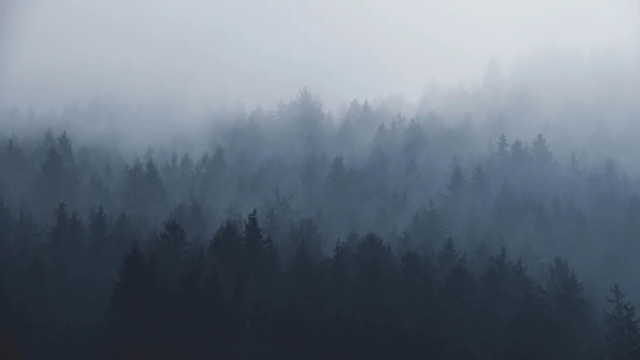 Nebel (Foto: Paul Pastourmatzis – Unsplash) Nebel (Foto: Paul Pastourmatzis – Unsplash)