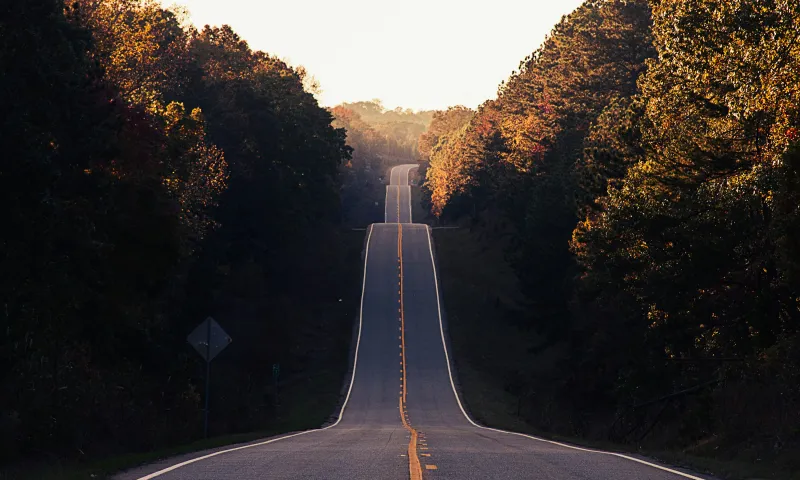 Weg (Foto: Matt Foxx- – Unsplash) Weg (Foto: Matt Foxx- – Unsplash)